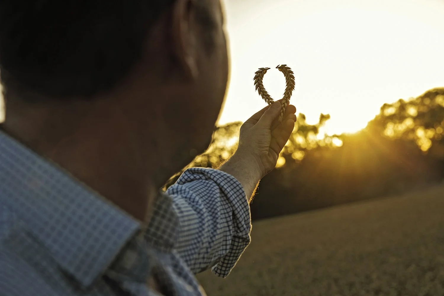 BASF - Revystar 3 - IMG_0609.jpg