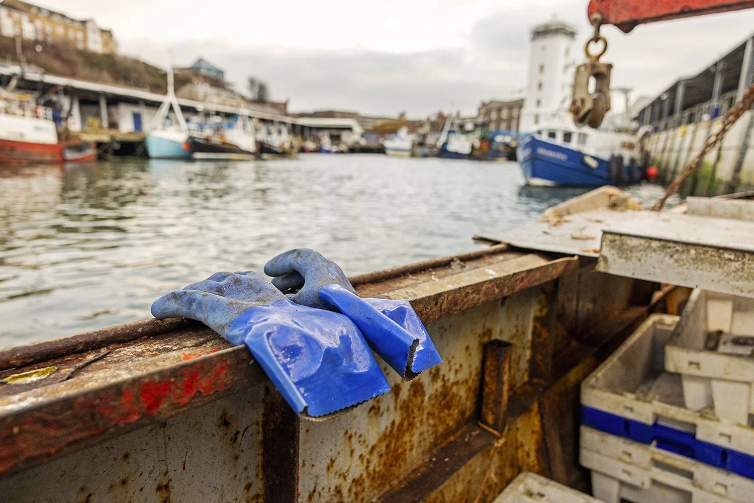 Mohamed - IMG_0550.jpg