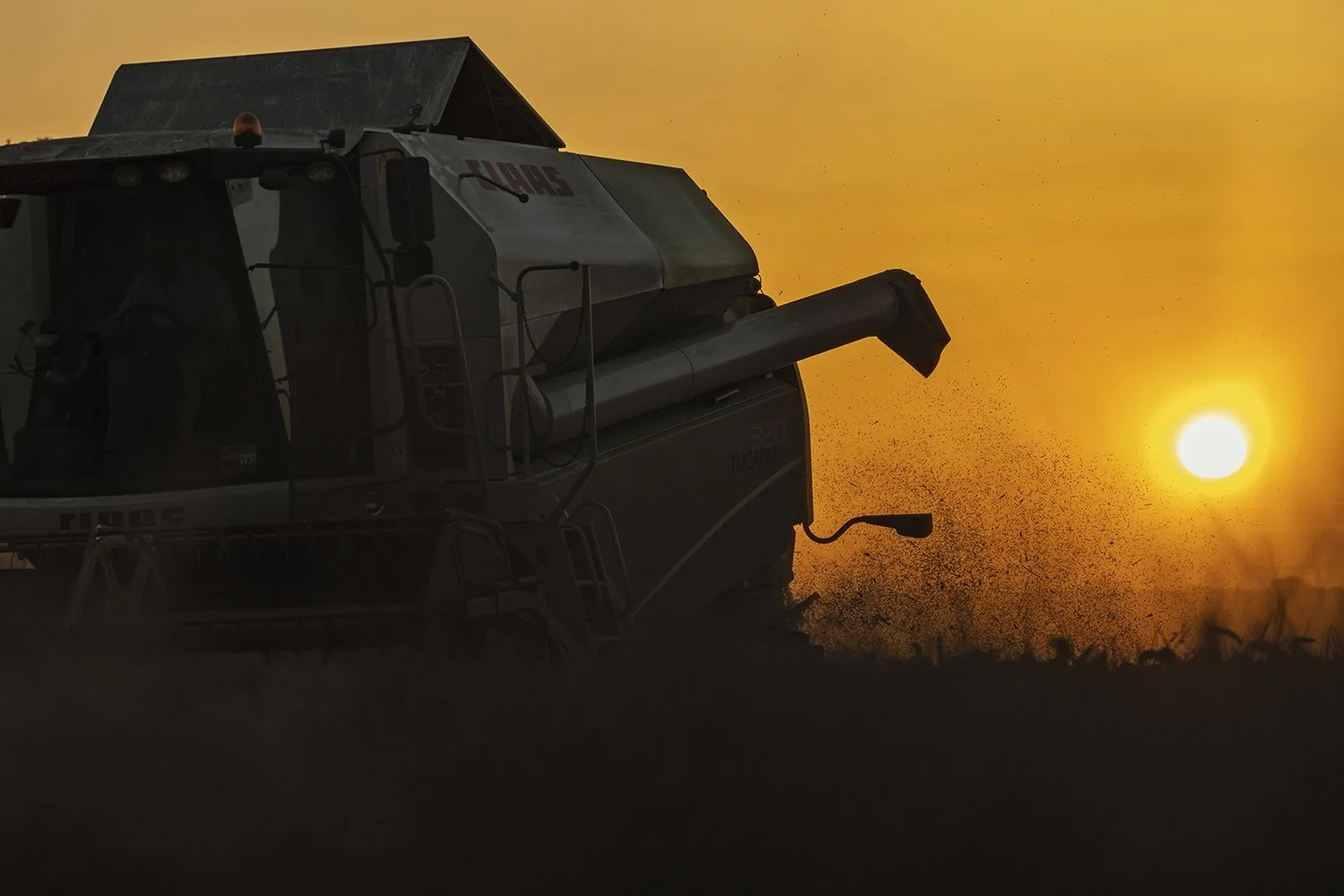 BASF - Revystar 3 - IMGB1903.jpg