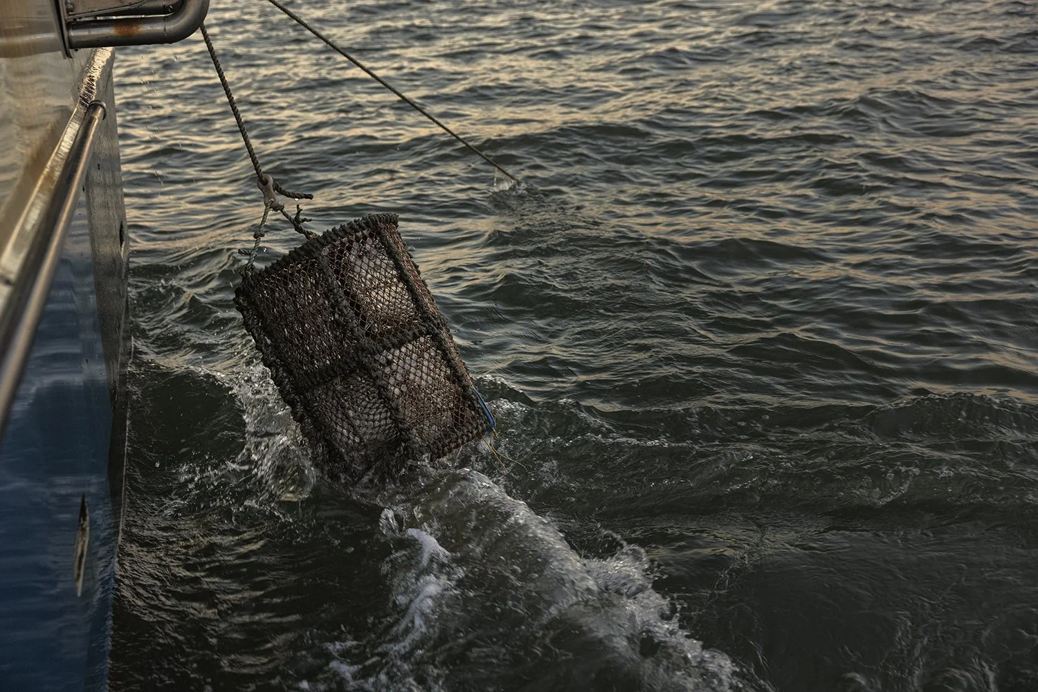  Jimmie Dawson -  IMG_2652.jpg