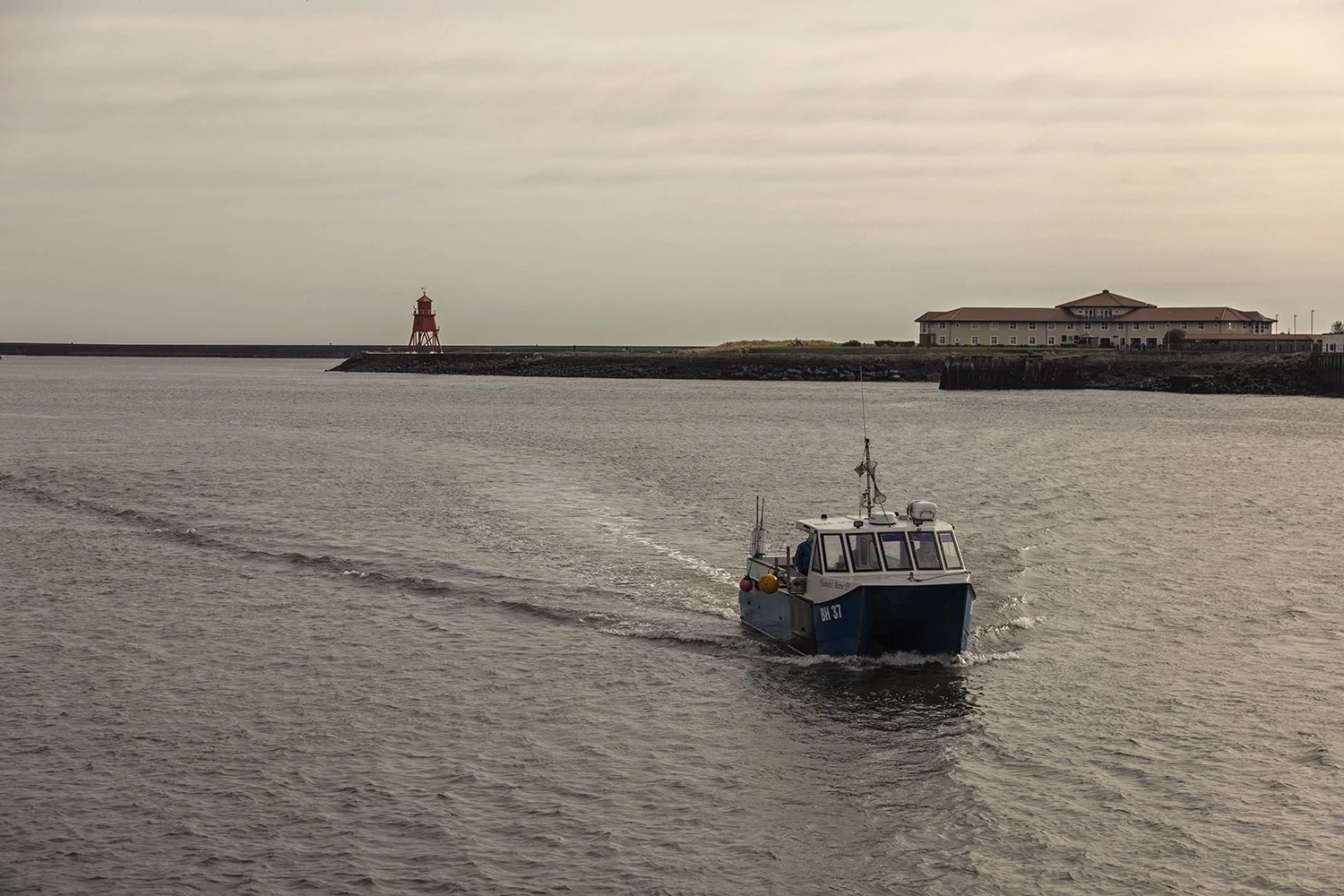  Jimmy - IMG_8916.jpg