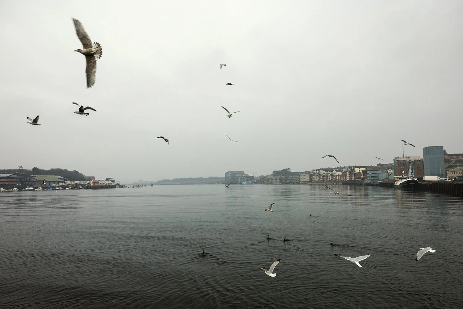  Fish Quay 03 - IMG_1620.jpg