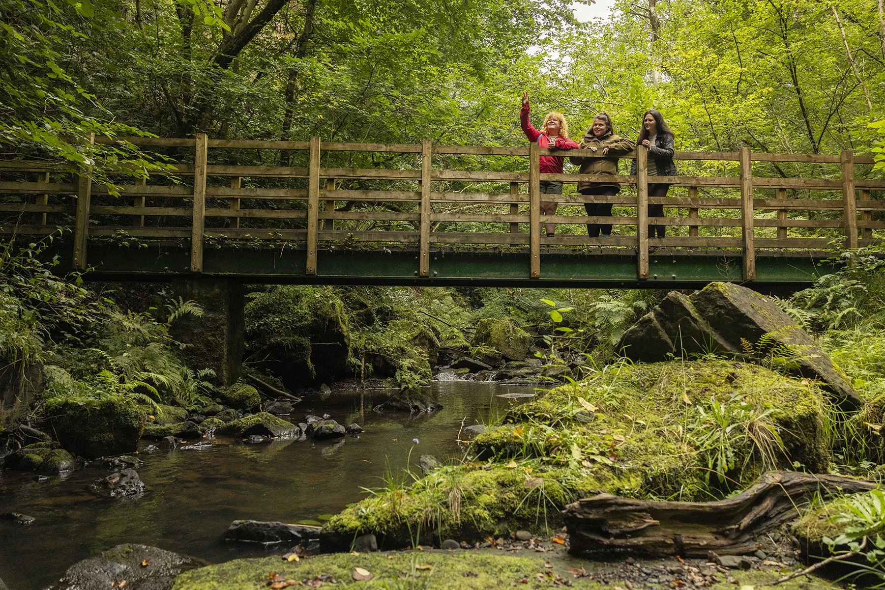 Story 01_Hareshaw Linn_IMG_4123.jpg
