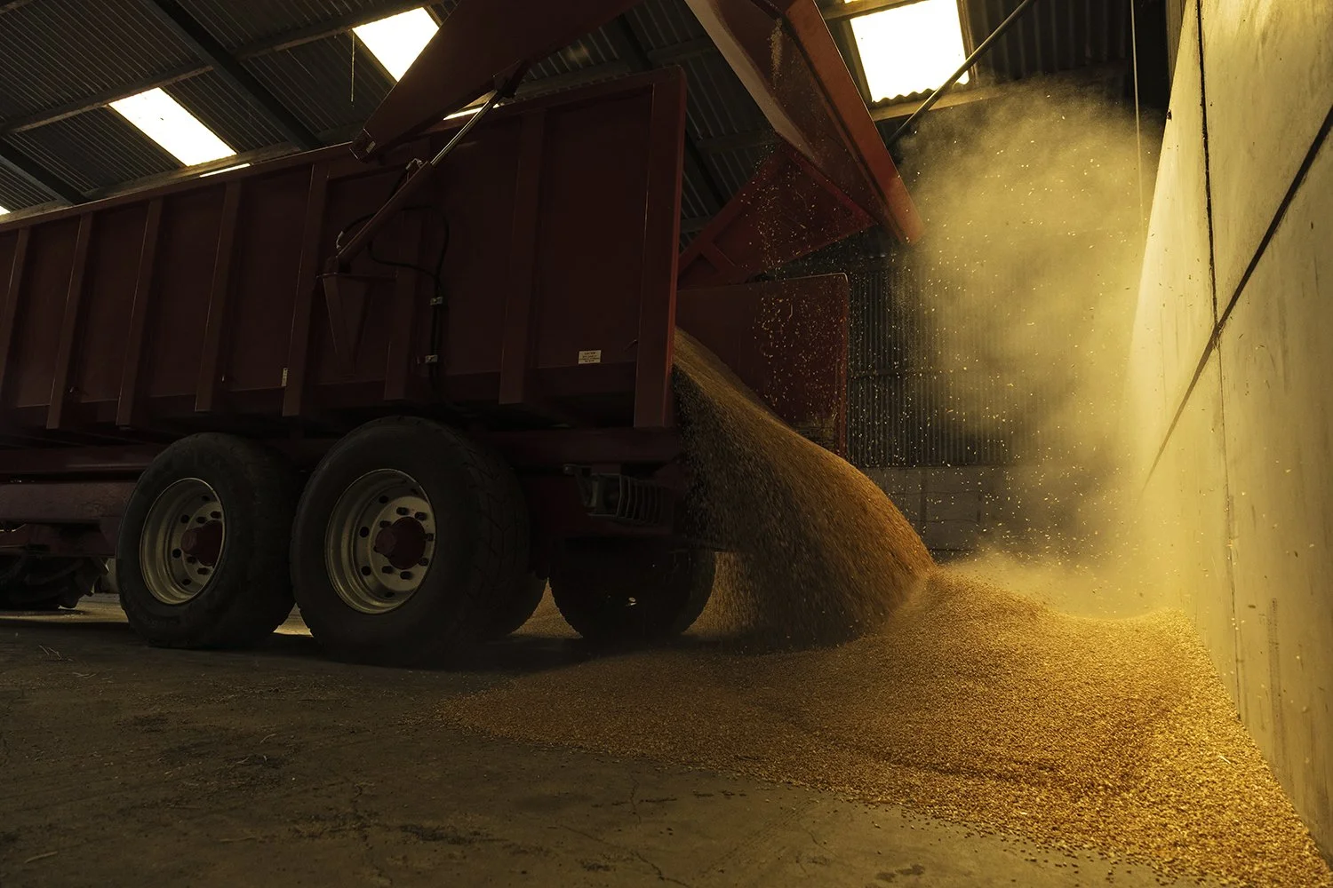 BASF - Revystar 3 - IMG_8936.jpg