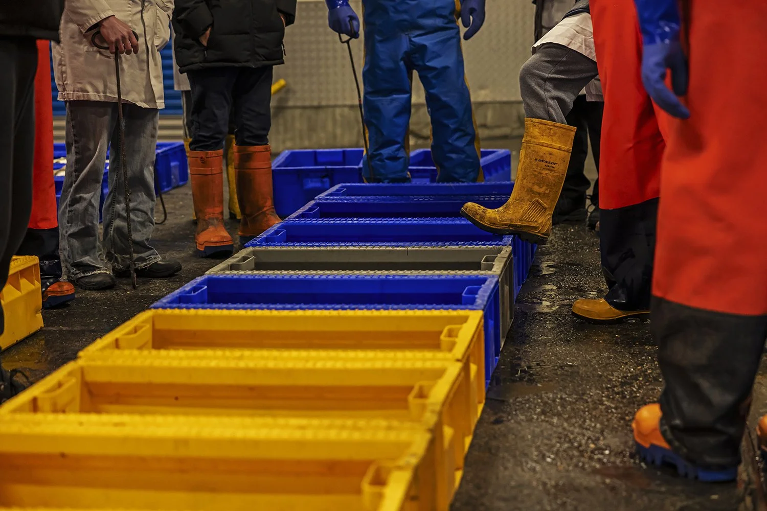 Market - IMG_1205.jpg