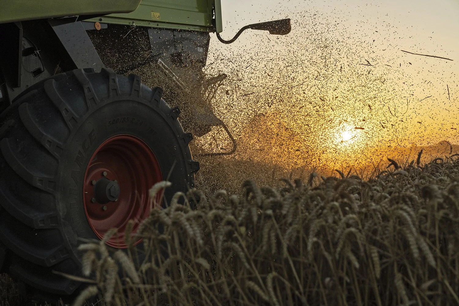 BASF - Revystar 3 - IMG_0942.jpg