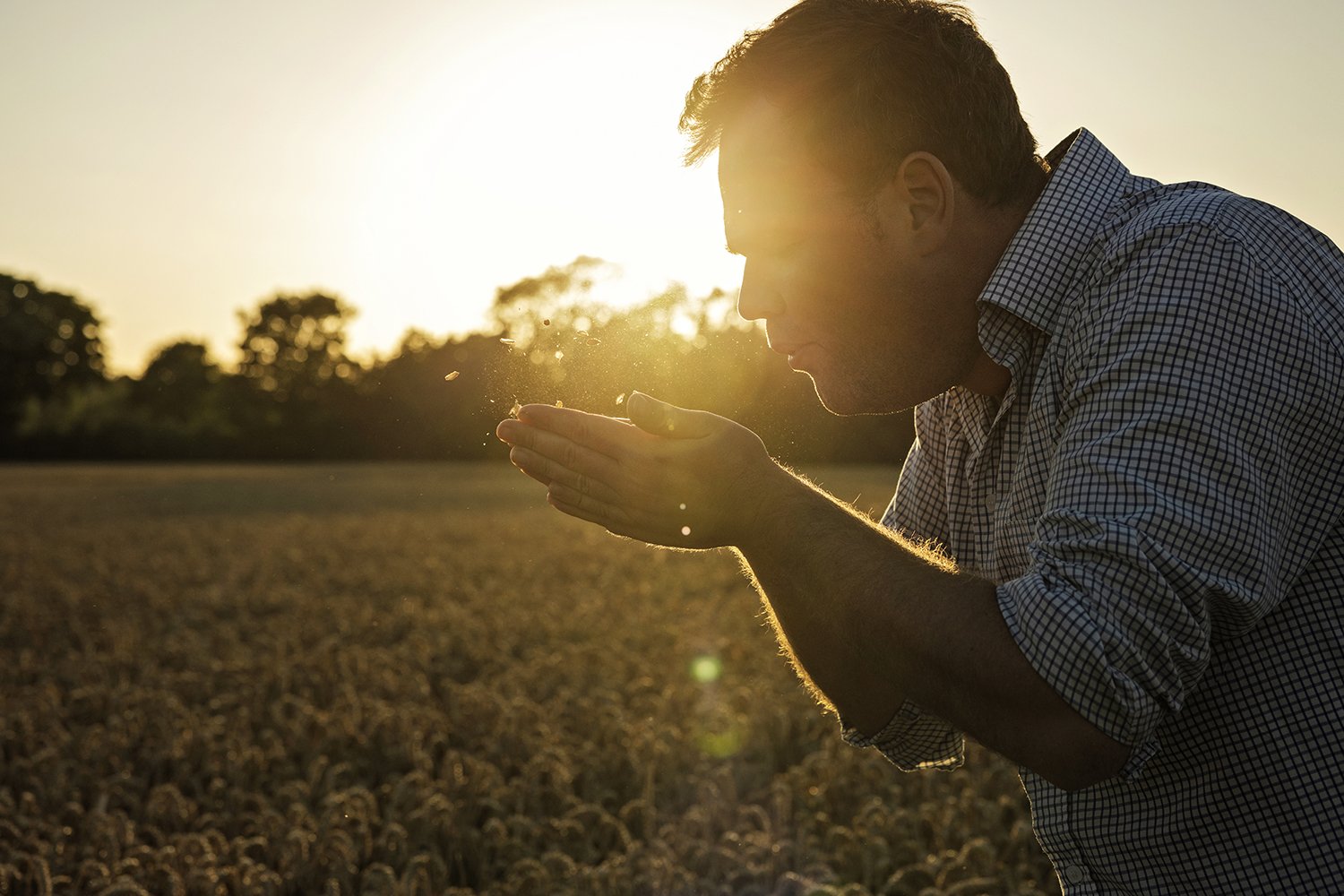 BASF - Revystar 3 - IMG_0168.jpg