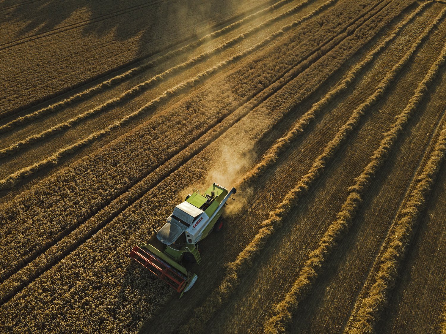 BASF - Revystar 3 - Drone - DJI_0098.jpg