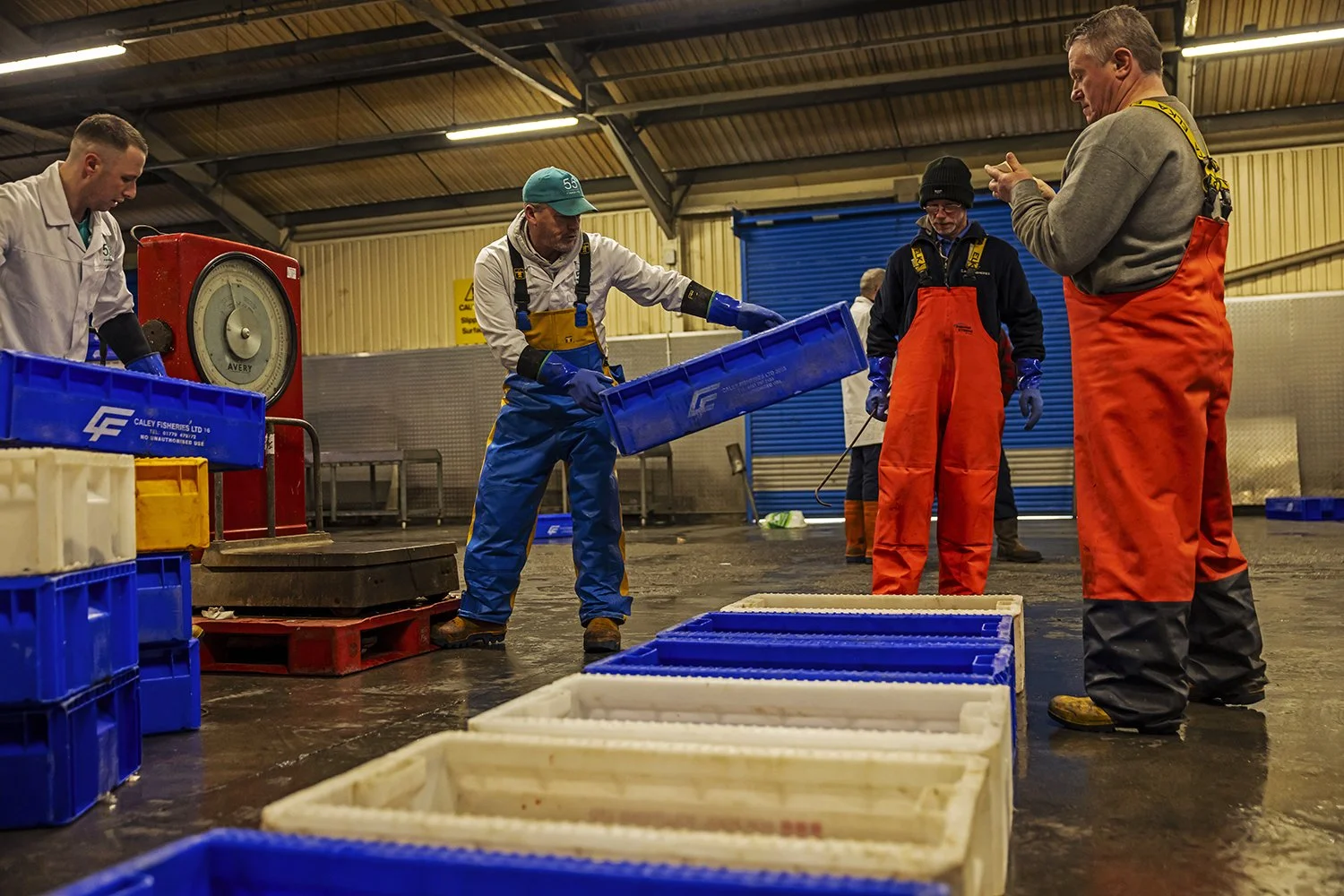 Market - IMG_0865.jpg