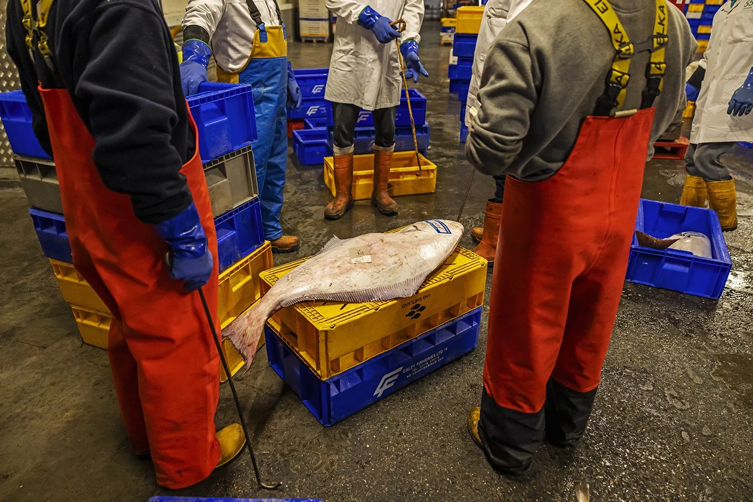 Market - IMG_0763.jpg