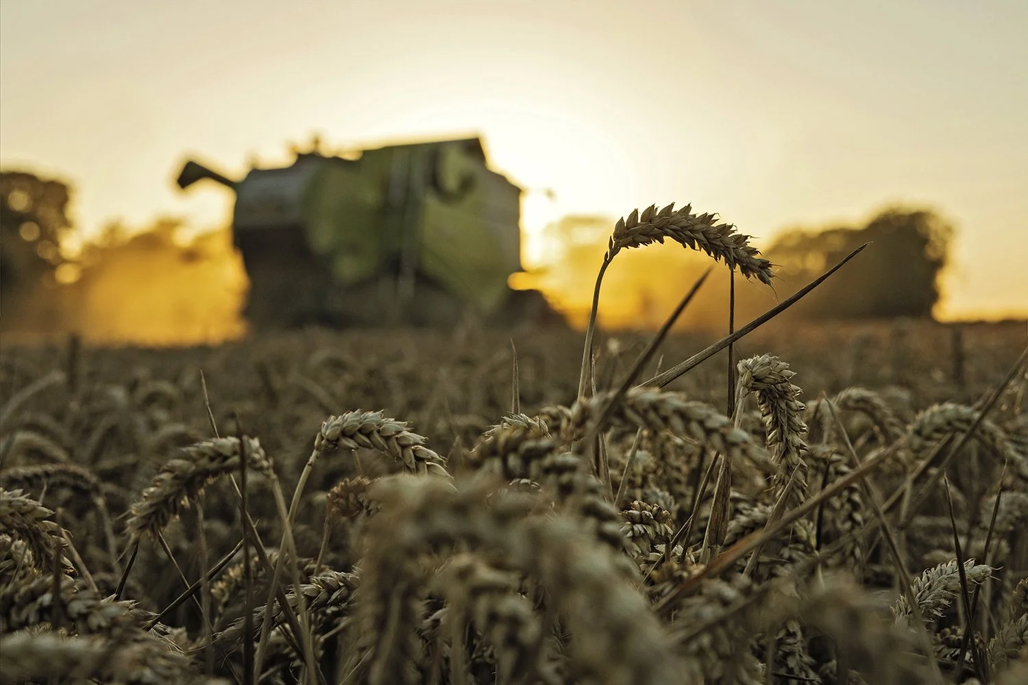 BASF - Revystar 3 - IMG_0770.jpg