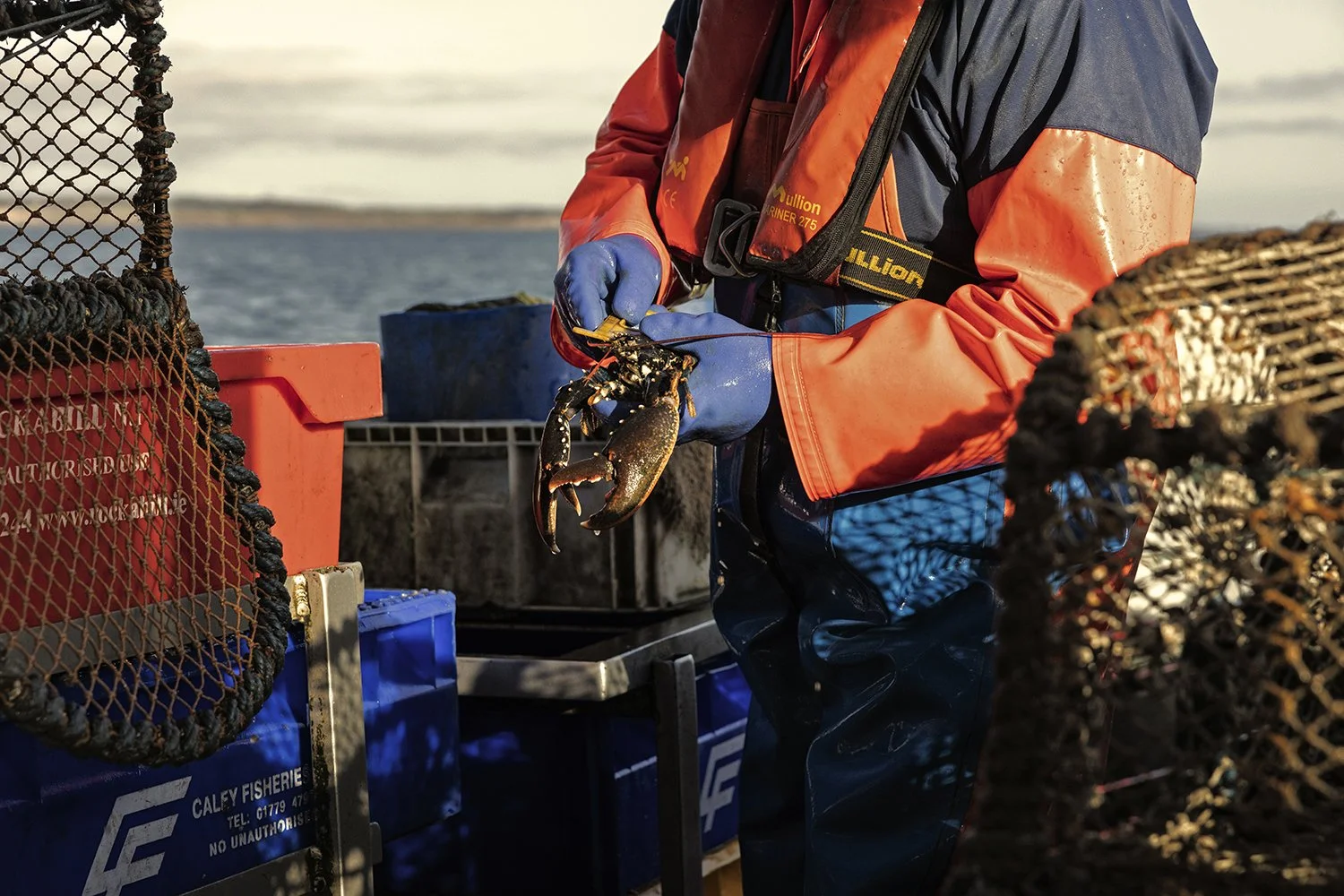  Jimmie Dawson -  IMG_4297.jpg