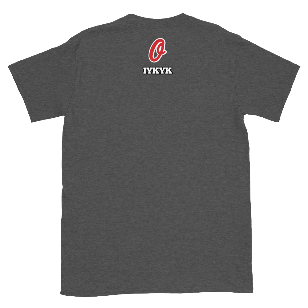 unisex-basic-softstyle-t-shirt-dark-heather-grey-back-6873a23d3b2f9.png