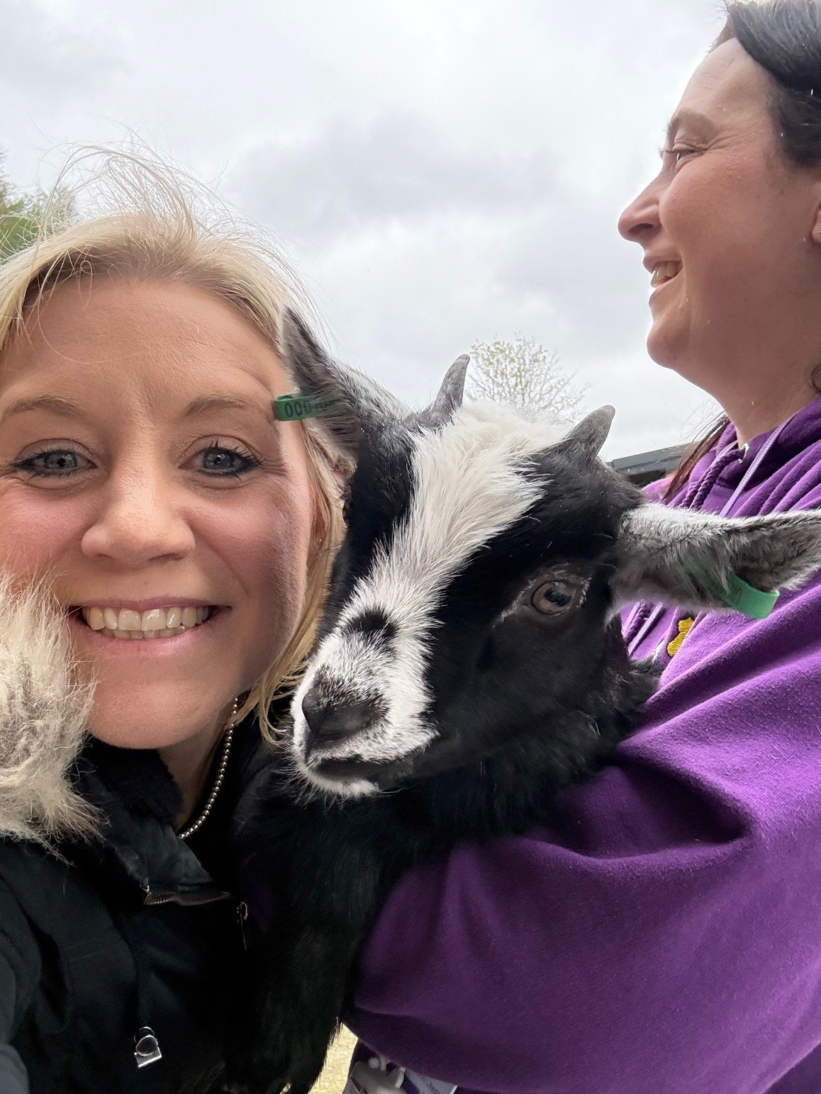 Inspiring Animal Therapy Open Day Fun