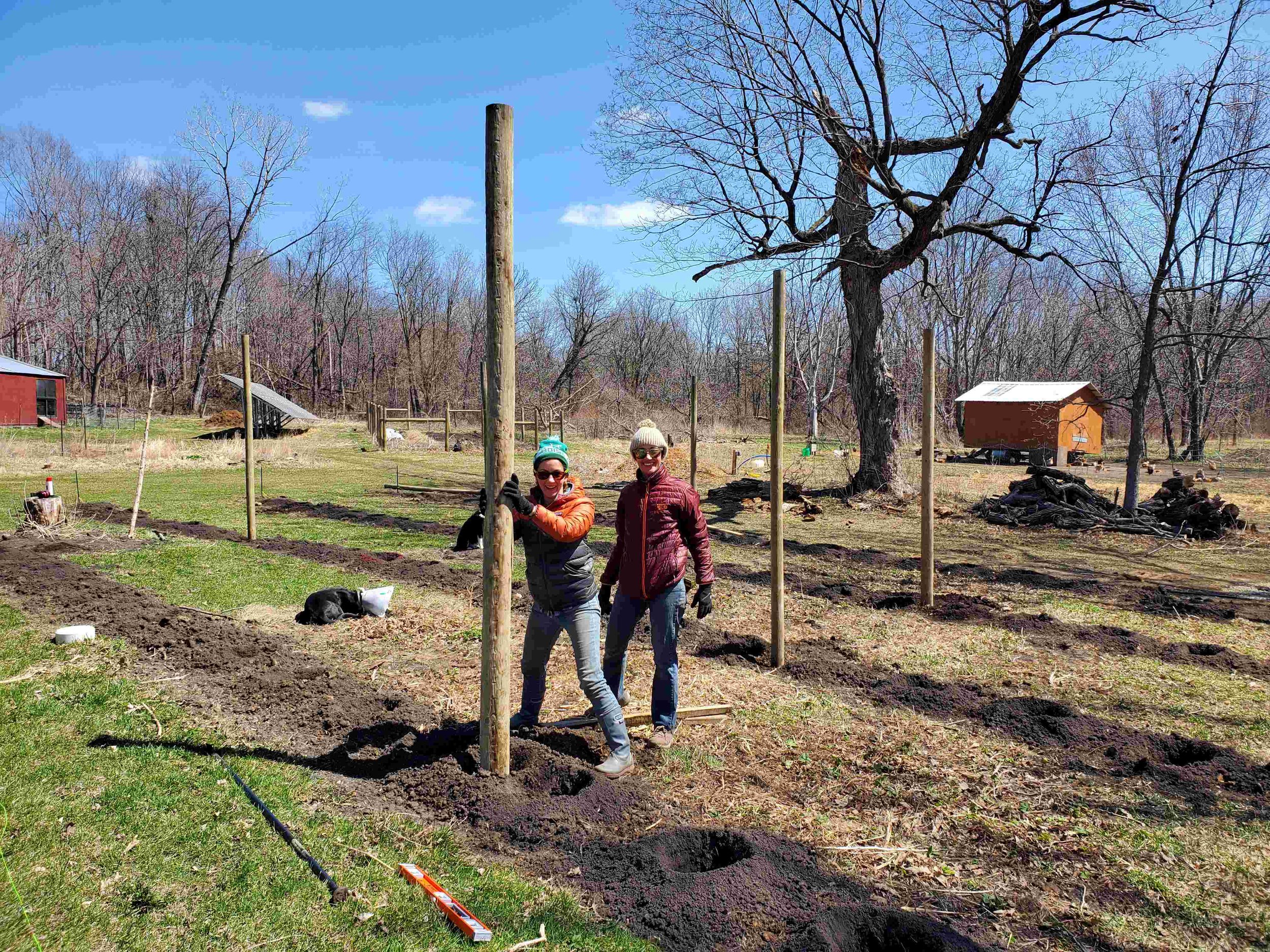 Trellis installation