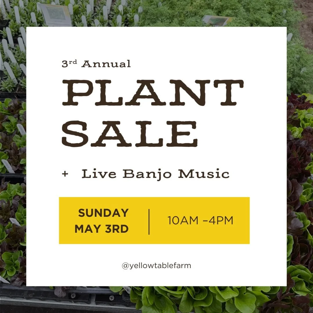 Yellow Table Farm Plant Sale