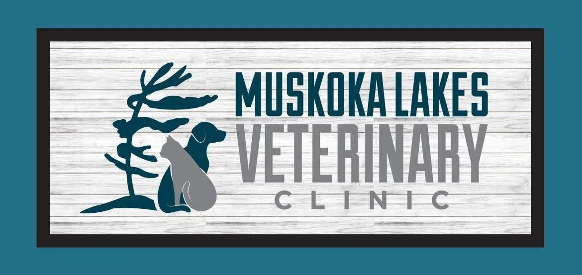 Muskoka lakes veterinary clinic