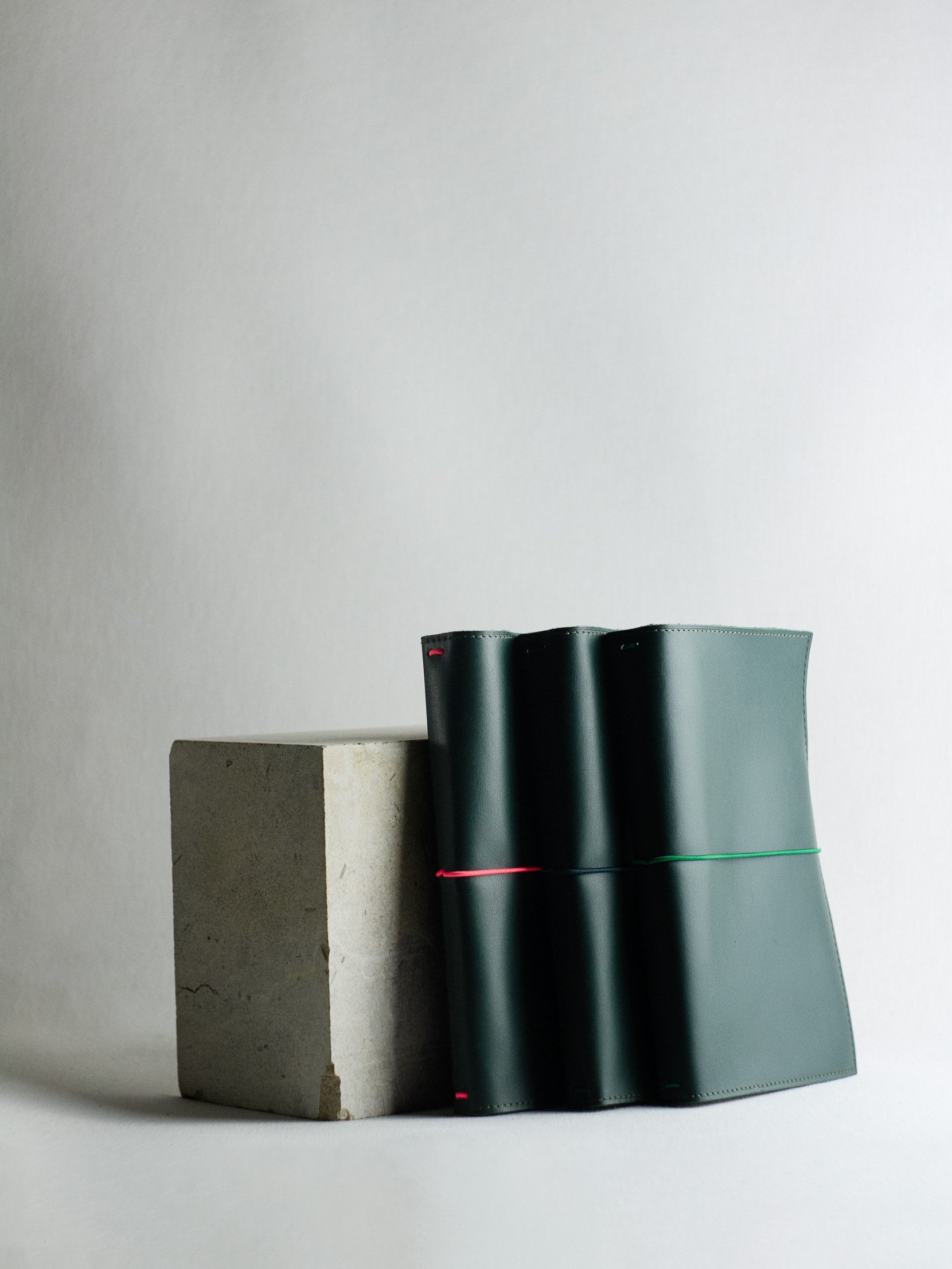 CARNETS-VERTS-PIERRE.jpg