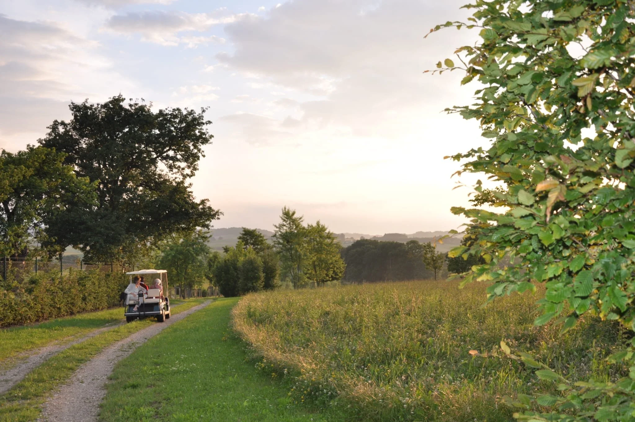 Eine Gruppe von Menschen fährt mit einem Golfcart auf einem Weg durch eine grüne, offene Landschaft bei Sonnenuntergang, umgeben von Bäumen und Wiesen.