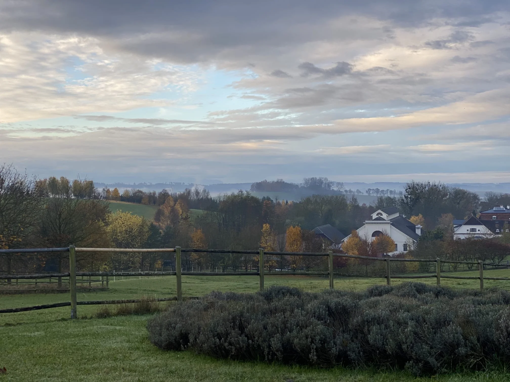 Landschaft mit bewölktem Himmel, Häusern, Bäumen und einer grünen Wiese, möglicherweise am frühen Morgen oder späten Nachmittag.