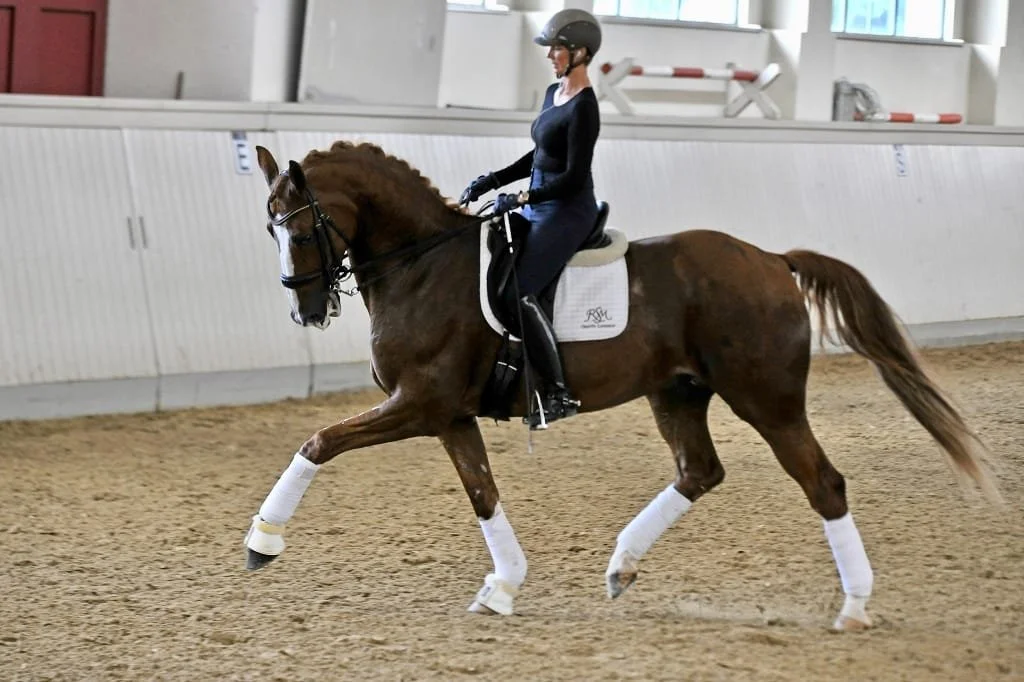 Eine Frau reitet auf einem braunen Pferd in einer Reithalle, beide tragen Schutzhelme und das Pferd hat weiße Beinschützer.