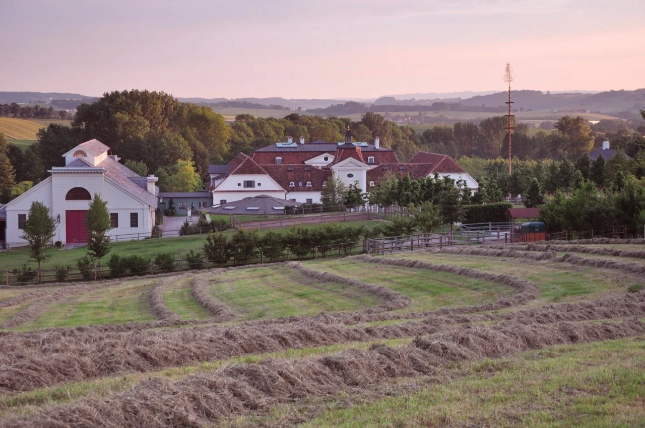 Landschaftliches Bild mit einem Bauernhof im Vordergrund, Felder und Heu in Reihen, im Hintergrund Bäume und ein großes Haus mit rotem Dach, bei Sonnenuntergang.