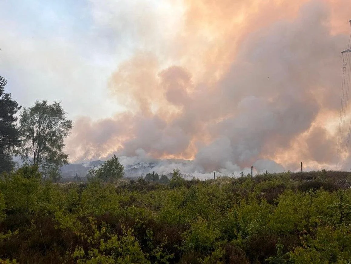 Dava Carrbridge.jpg