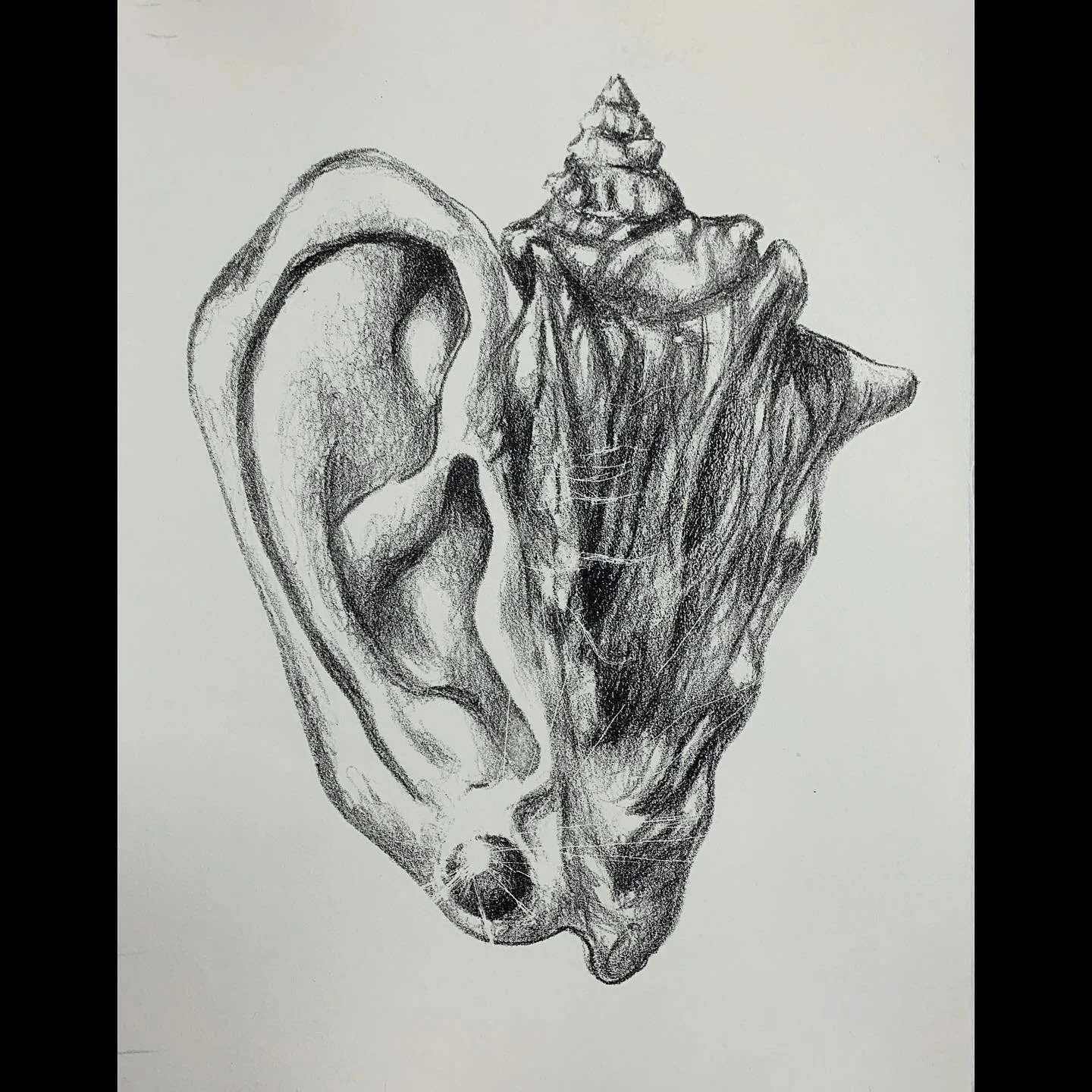 Lithography Collection