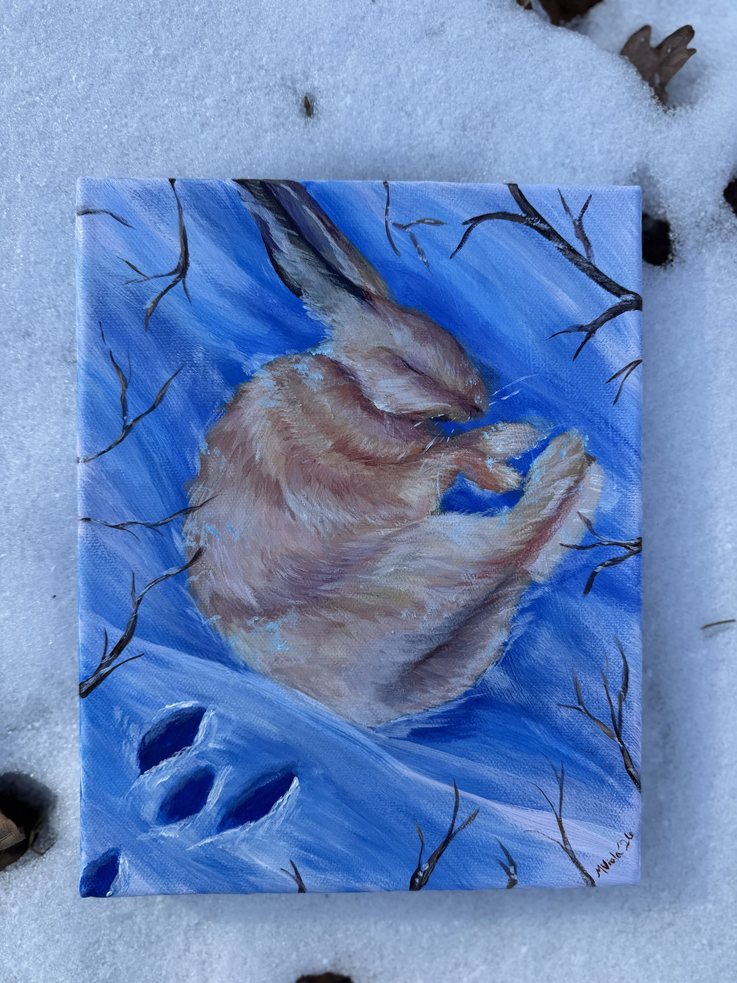 Winter's Nap