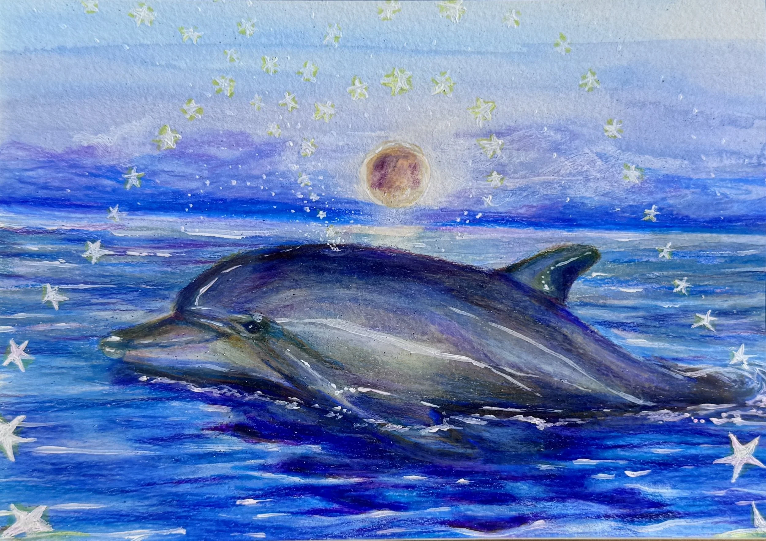 Dolphin Magic