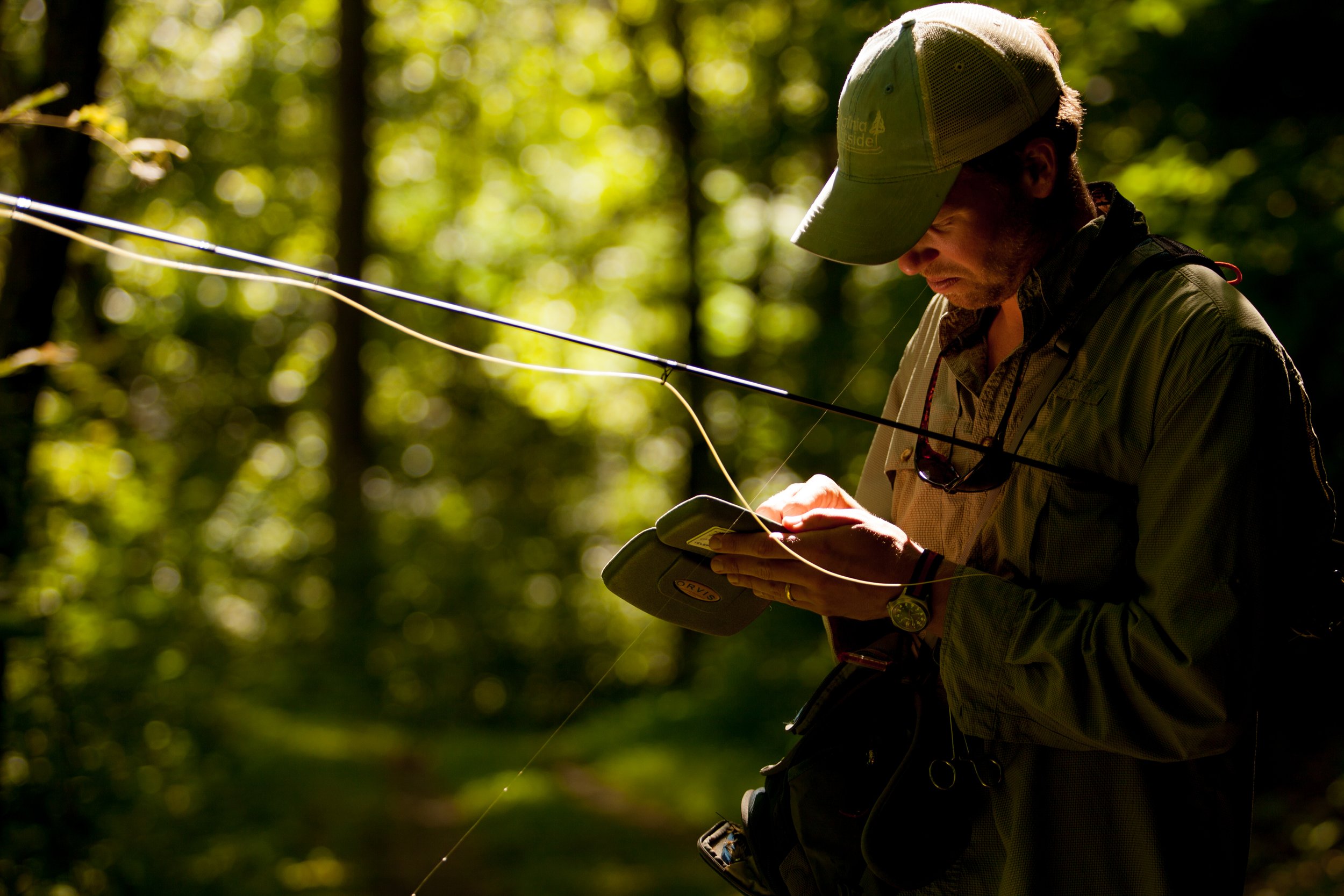 Virginia Outdoor Photographer