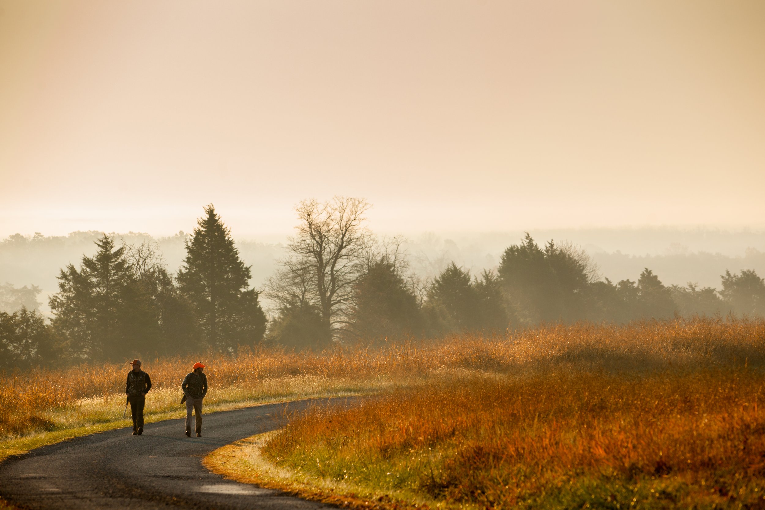 Virginia Outdoor Photographer