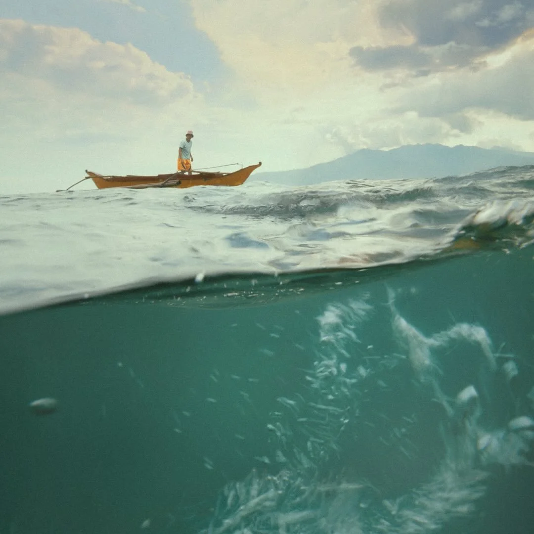 The Net (L, Nickson Brown, 2026)