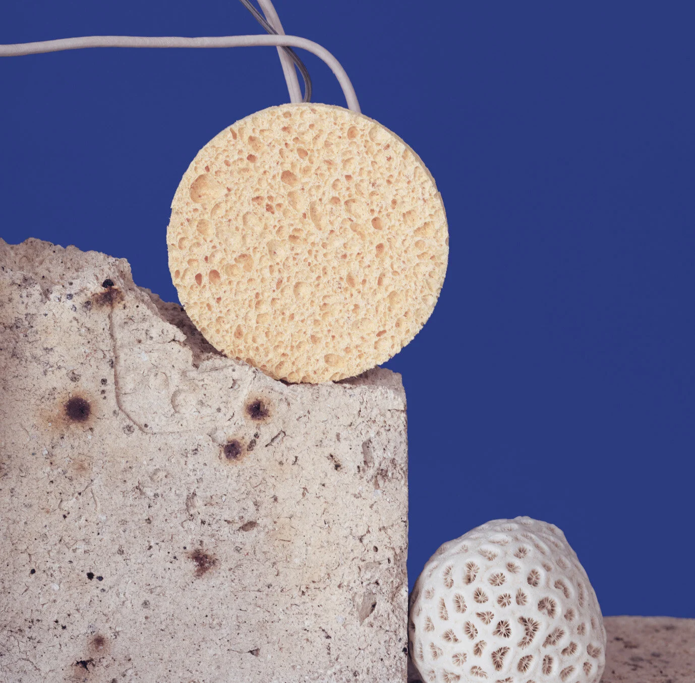 Trois éponges naturelles de différentes formes et textures posées sur une surface en pierre contre un fond bleu.