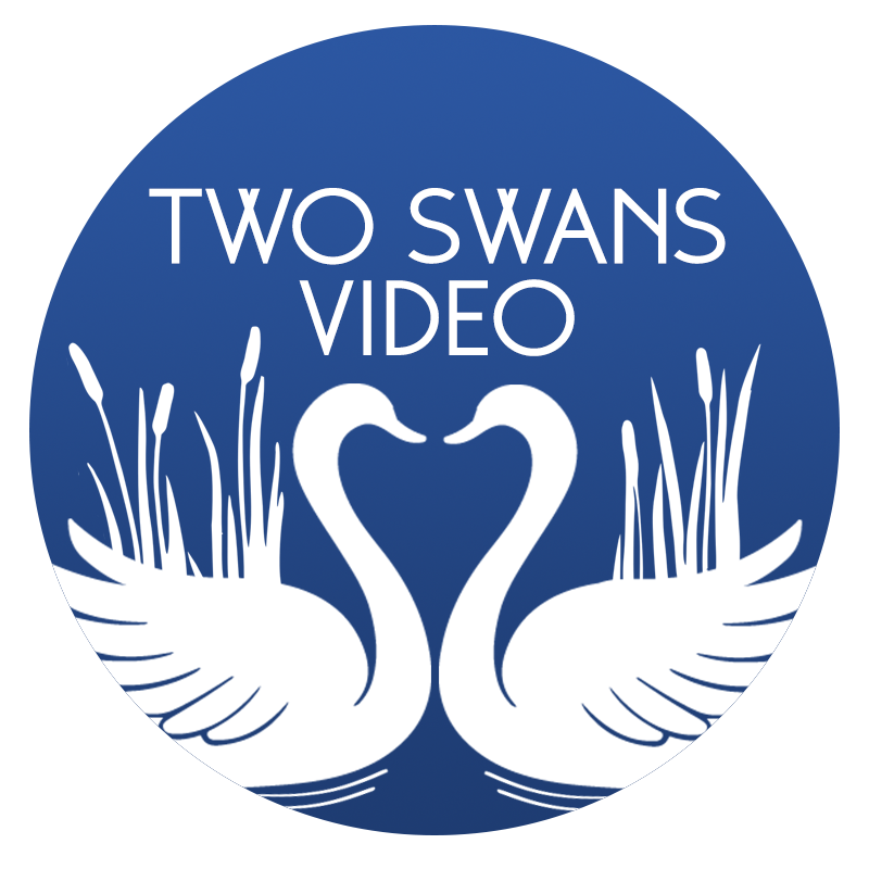 Two Swans Video