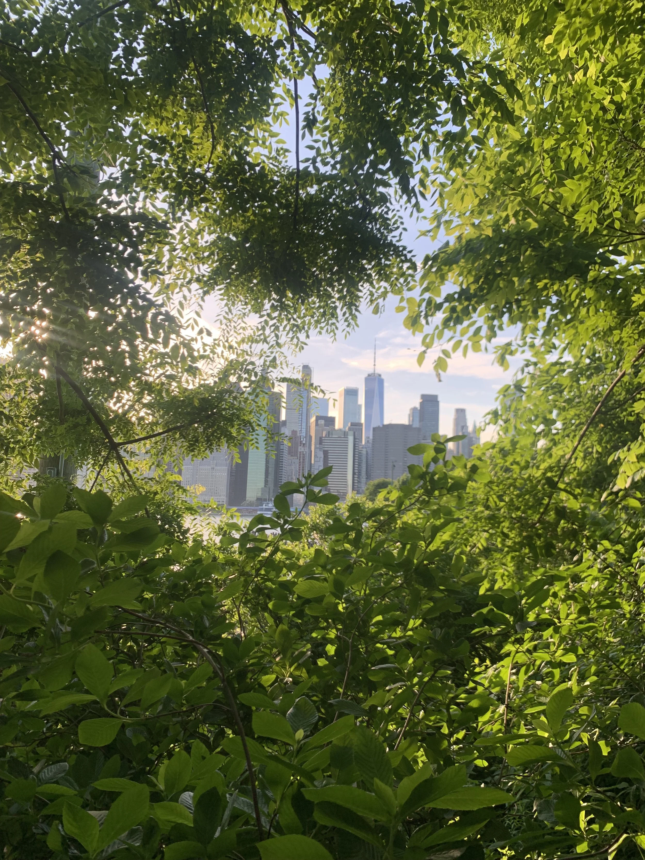 Setting yourself up for summer-Inspired AF