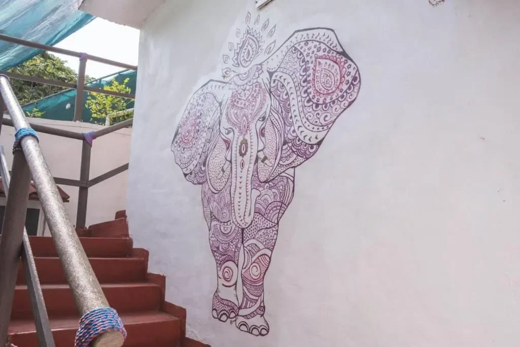 elephant nog.webp