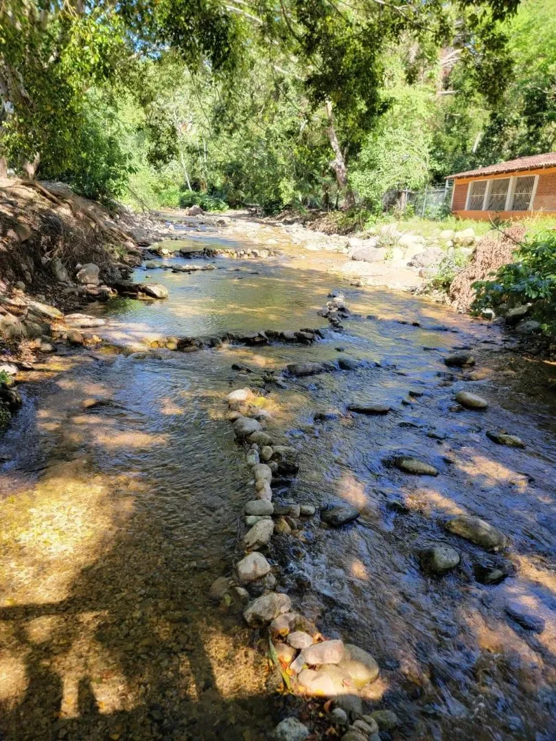 river nogalito.webp