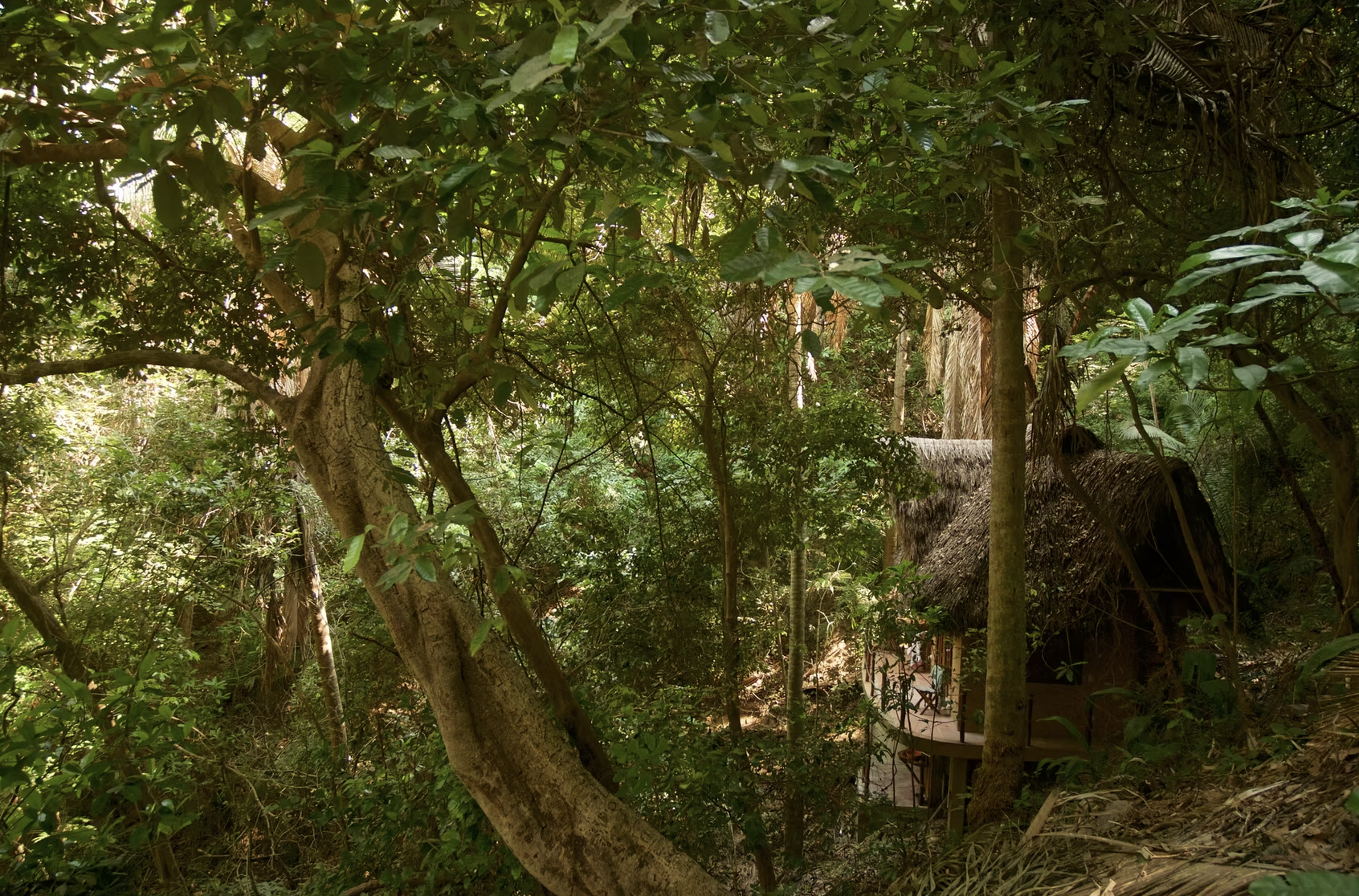 Screenshot 2026-03-26 at 10.09.54 PM.png