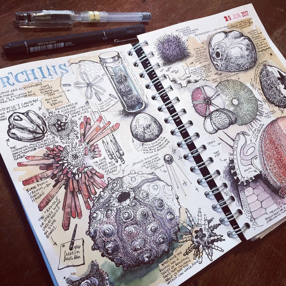 sketchnote Giovanni Maisto  .jpeg