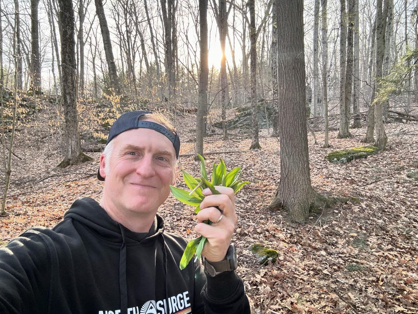 Beautiful evening to walk in the woods and forage for ramps, garlic mustard, and trout slip.
Remember, only one leaf per ramp and leave those bulbs in the ground so they&rsquo;ll grow back next year.