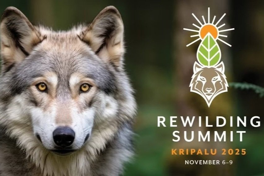 The Rewilding Summit