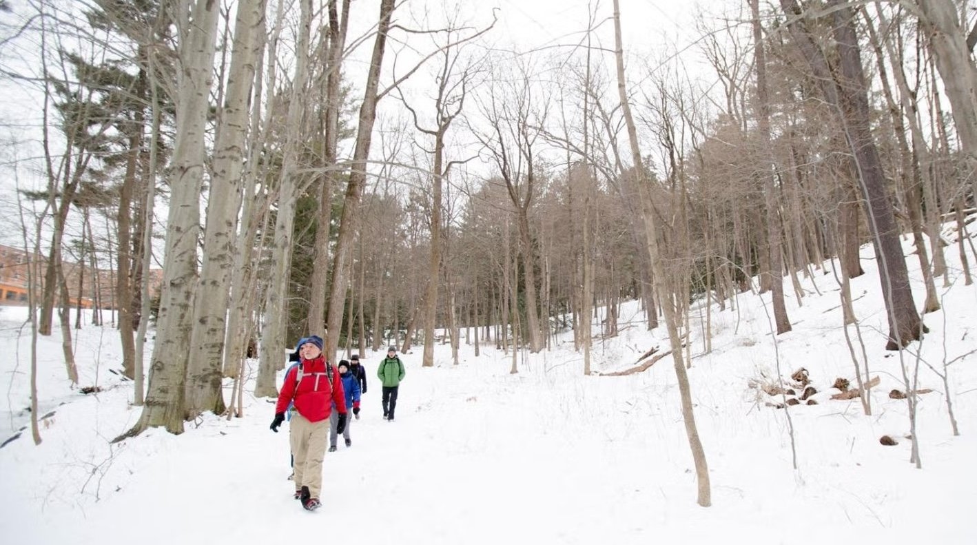 The Mindful Art of Winter Wildlife Tracking