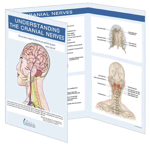 Cranial Nerve Trifold Reference Chart .png