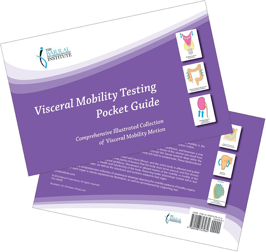 Visceral Manipulation Mobility Testing Pocket Guide.jpeg