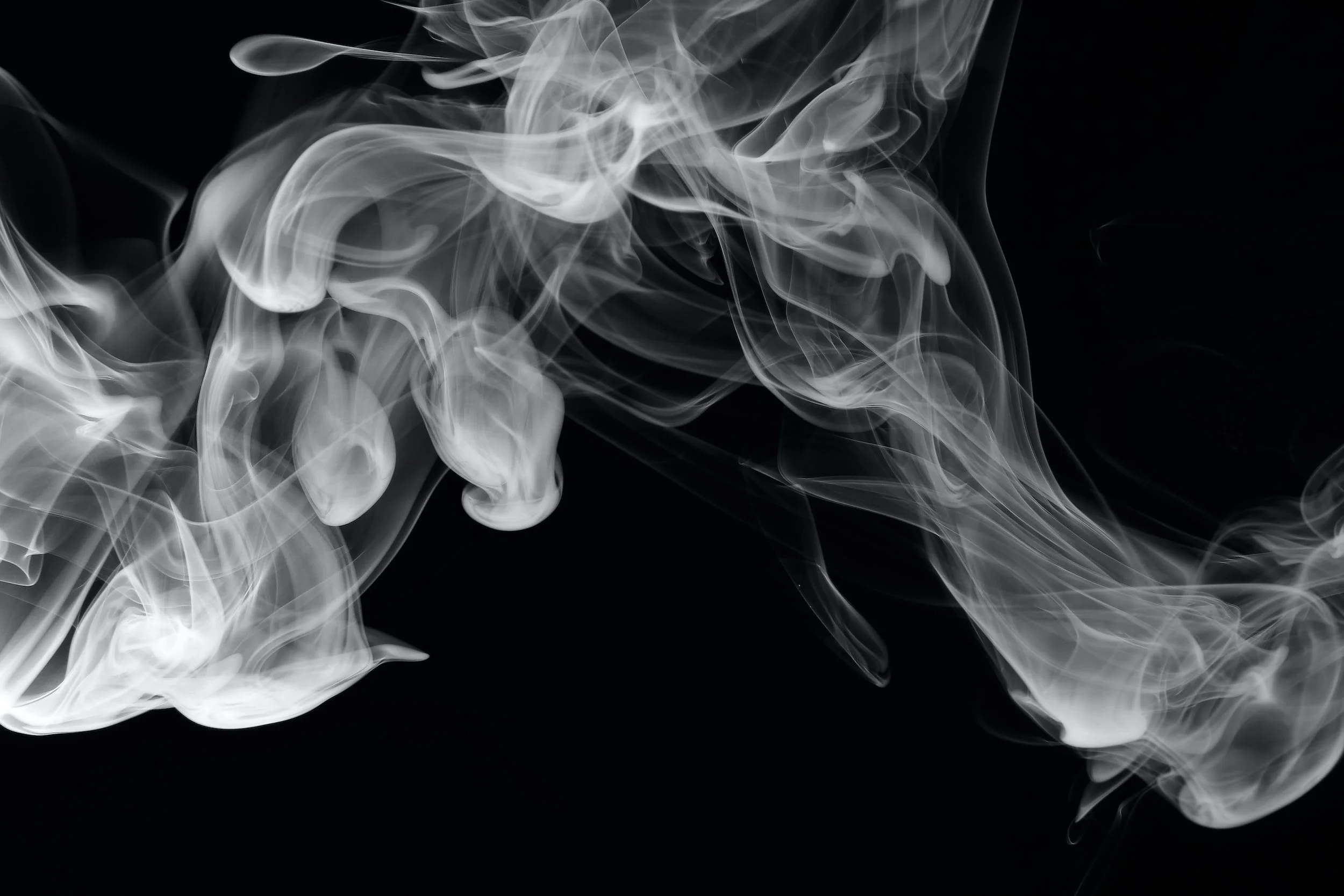 unsplash-image-1uVCTVSn-2o.jpg