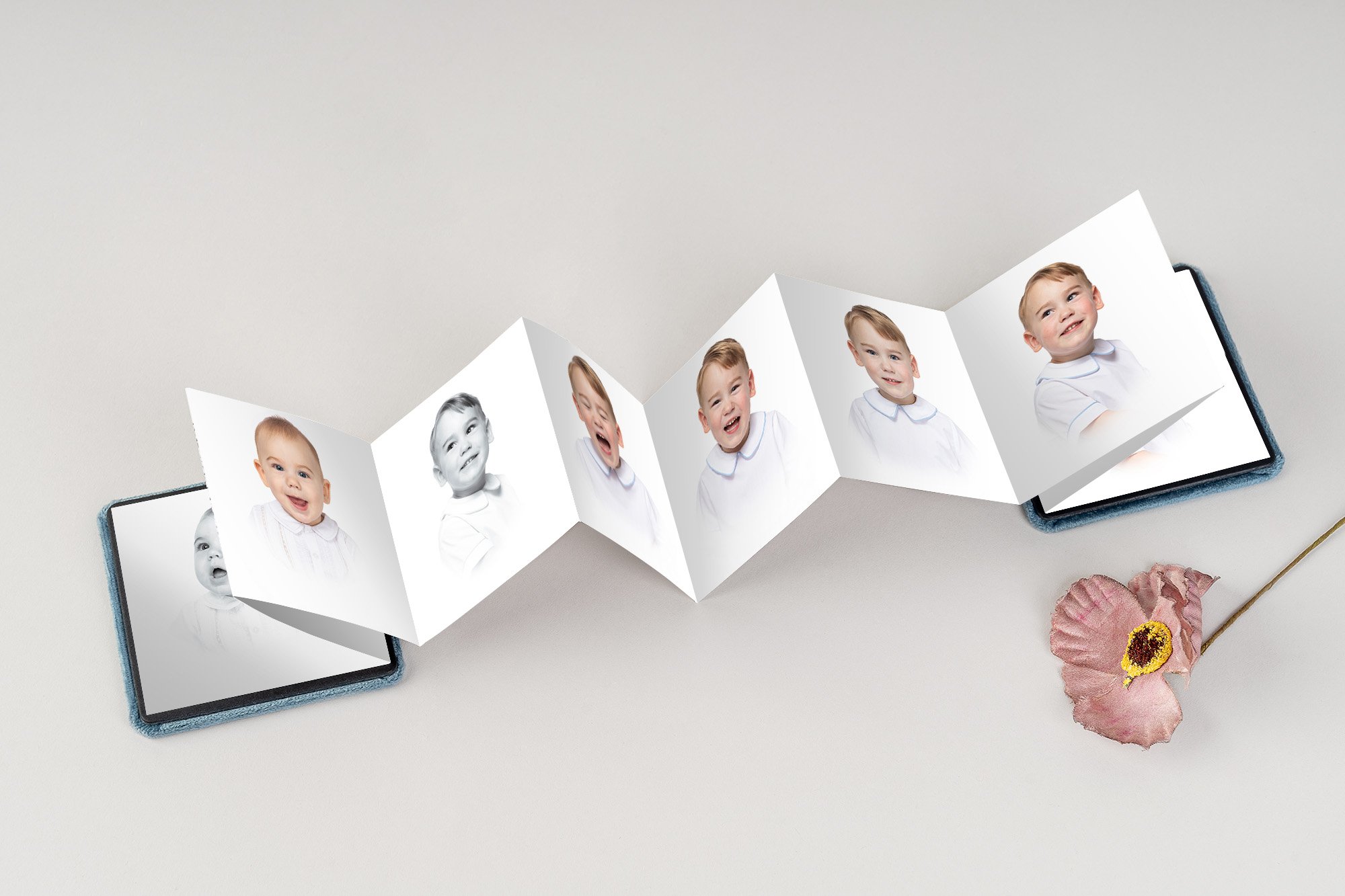 Accordion Mini Book