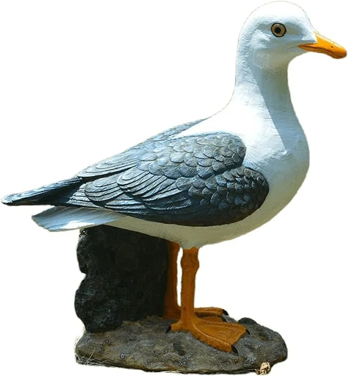 DNA_Seagull001.jpg