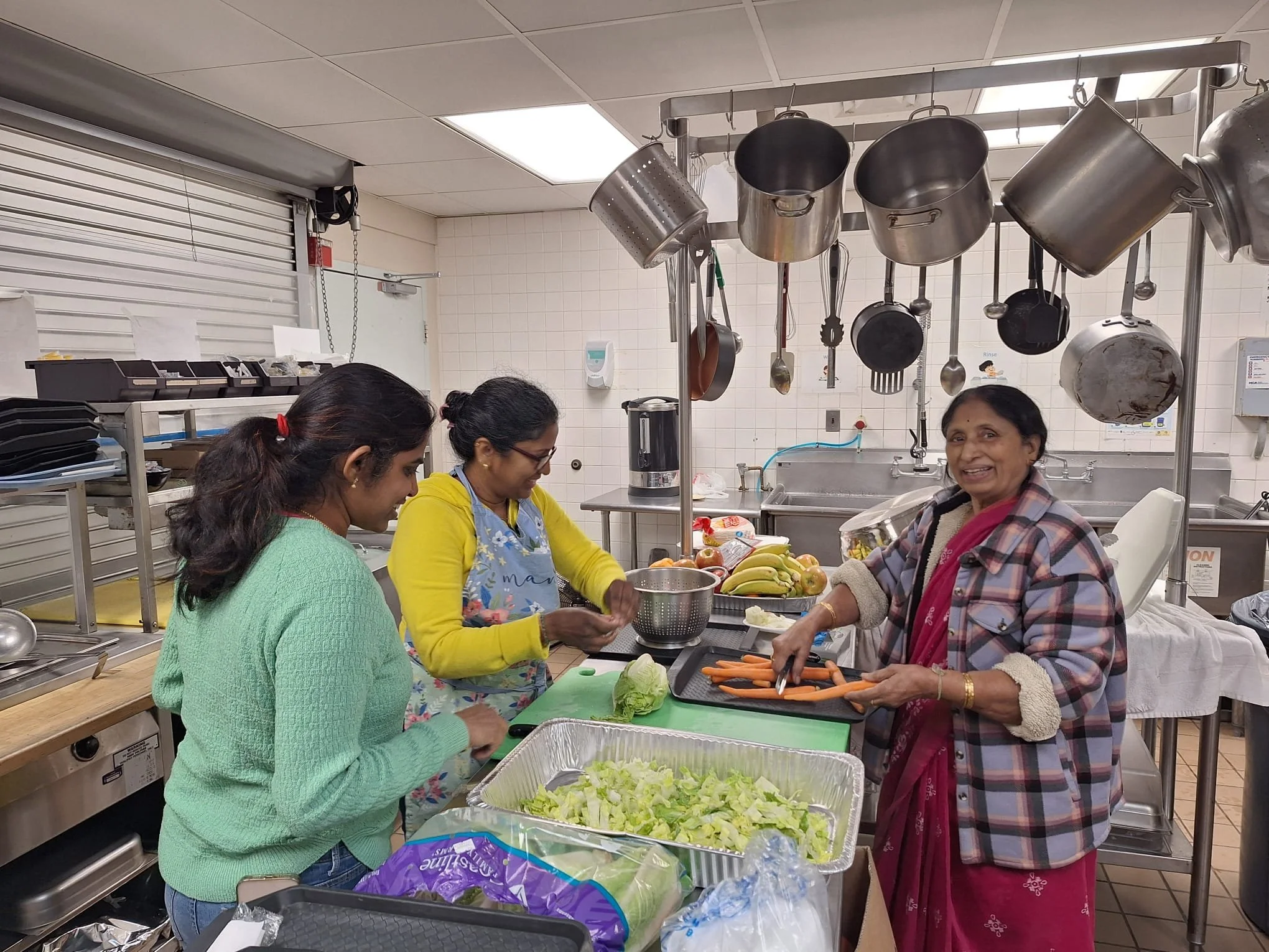Narayan Seva – Fairfax, Virginia, USA