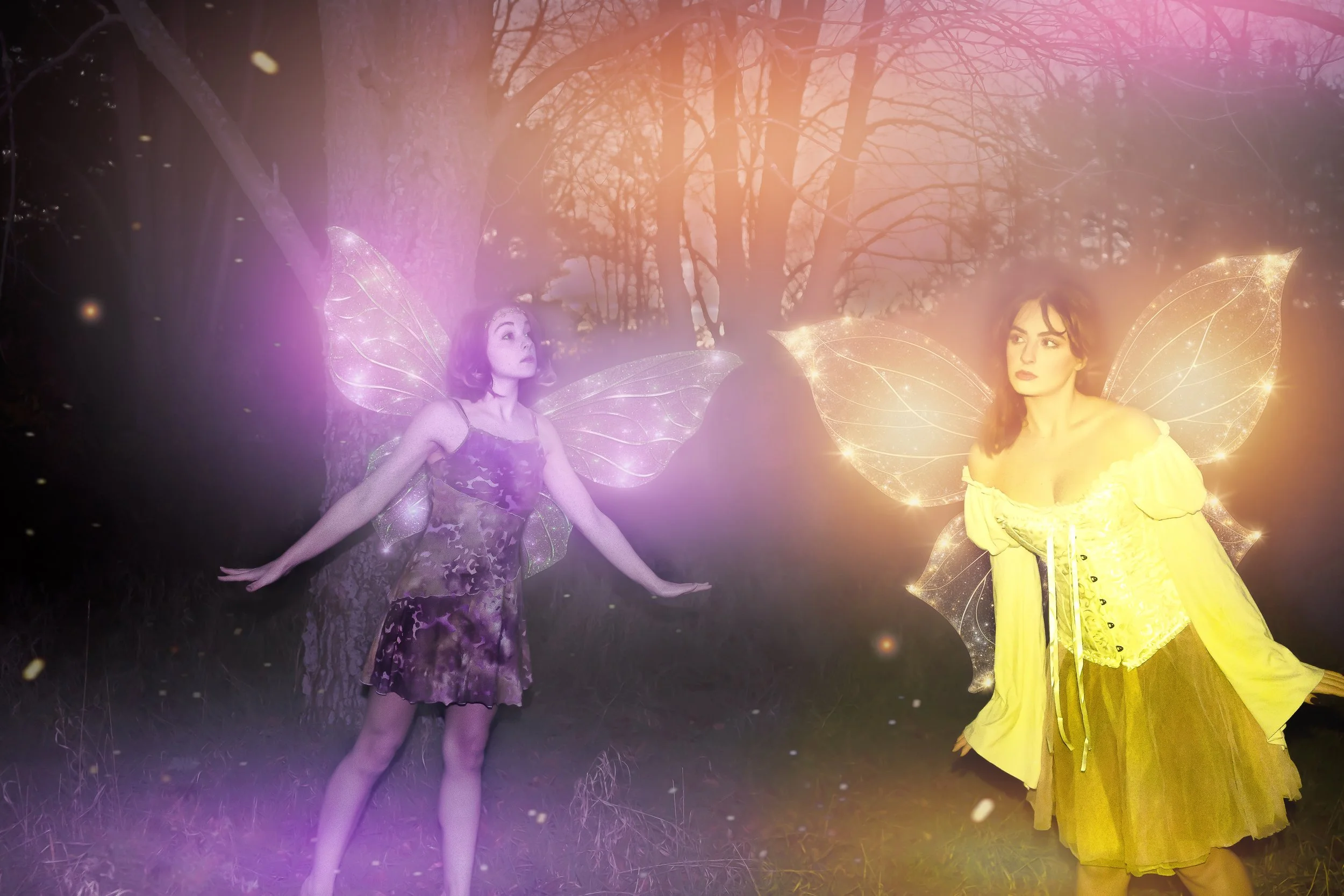 fairy complete-1.jpg